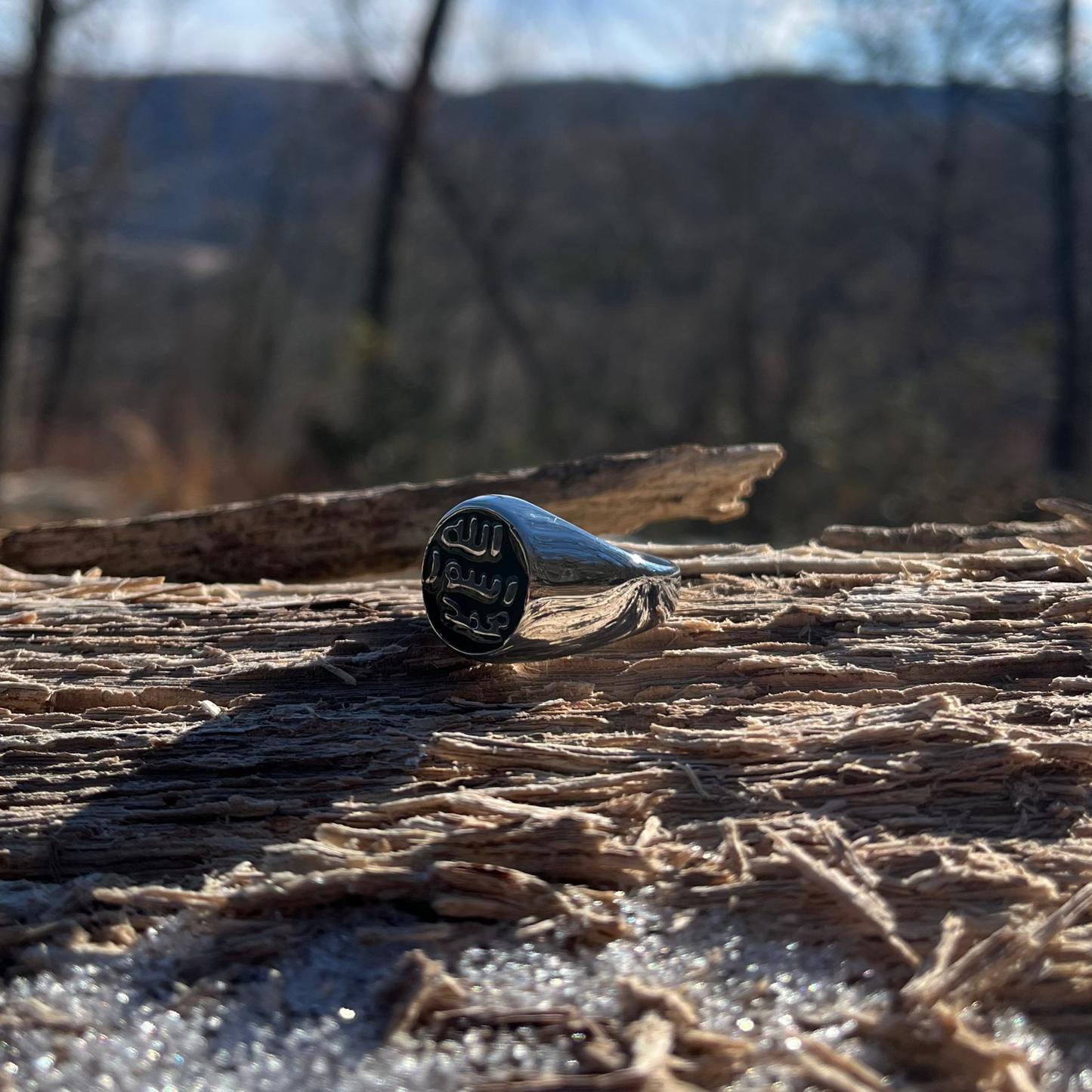 Prophetic Steel Ring